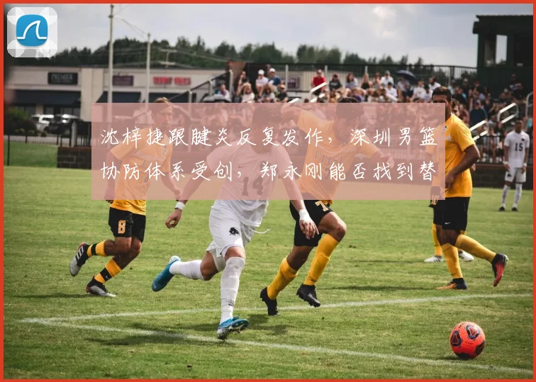沈梓捷跟腱炎反复发作，深圳男篮协防体系受创，郑永刚能否找到替代方案？